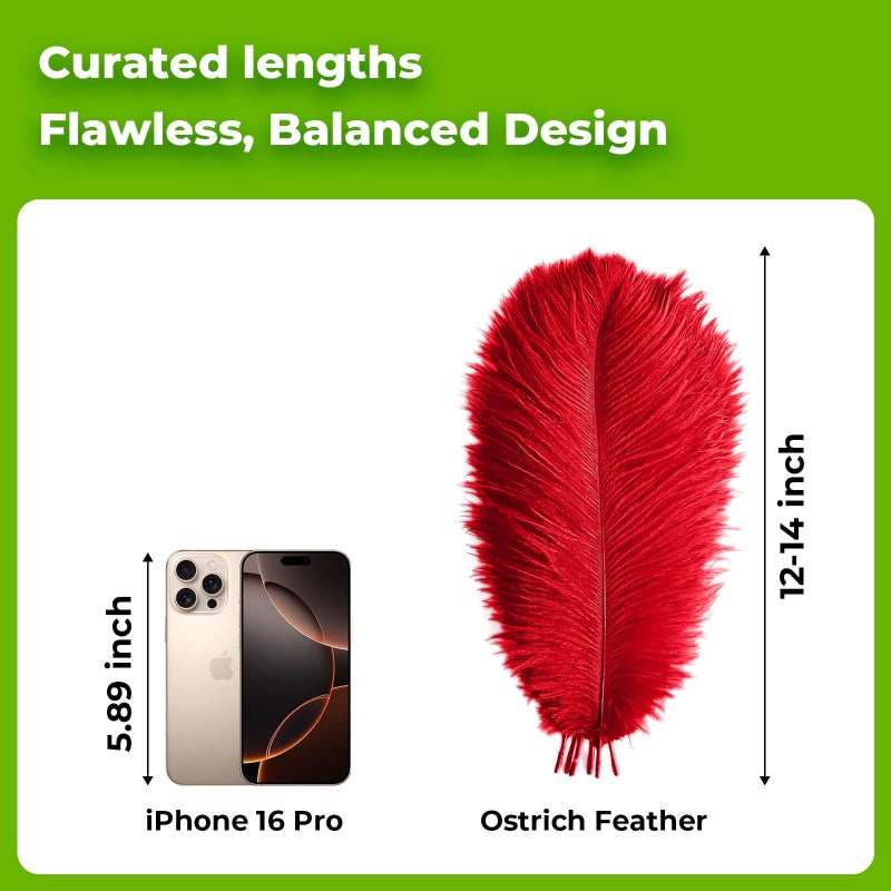 Piokio 20 pcs Natural Red Ostrich Feathers 12-14 inch(30-35 cm) Bulk for Wedding Party Centerpieces and DIY Clothes Decoration, Gatsby Decorations - Image 2